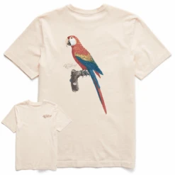 Men's Antique Parrot Painting Short SleeveTee
